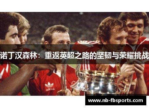诺丁汉森林：重返英超之路的坚韧与荣耀挑战