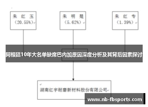 阿根廷10年大名单缺席巴内加原因深度分析及其背后因素探讨