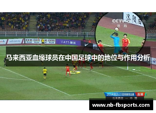 马来西亚血缘球员在中国足球中的地位与作用分析