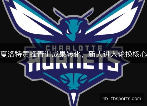 夏洛特黄蜂青训成果转化，新人进入轮换核心